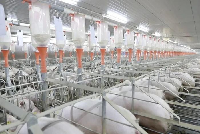 向大海更遠(yuǎn)處航行 劉永好2023寄語(yǔ)與生物飼料研發(fā)的新希望