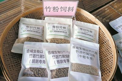 清遠英德西牛鎮(zhèn) 打造“以竹代塑”“以竹代糧”綠色產(chǎn)業(yè)，推動生物飼料研發(fā)